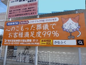 P3113989